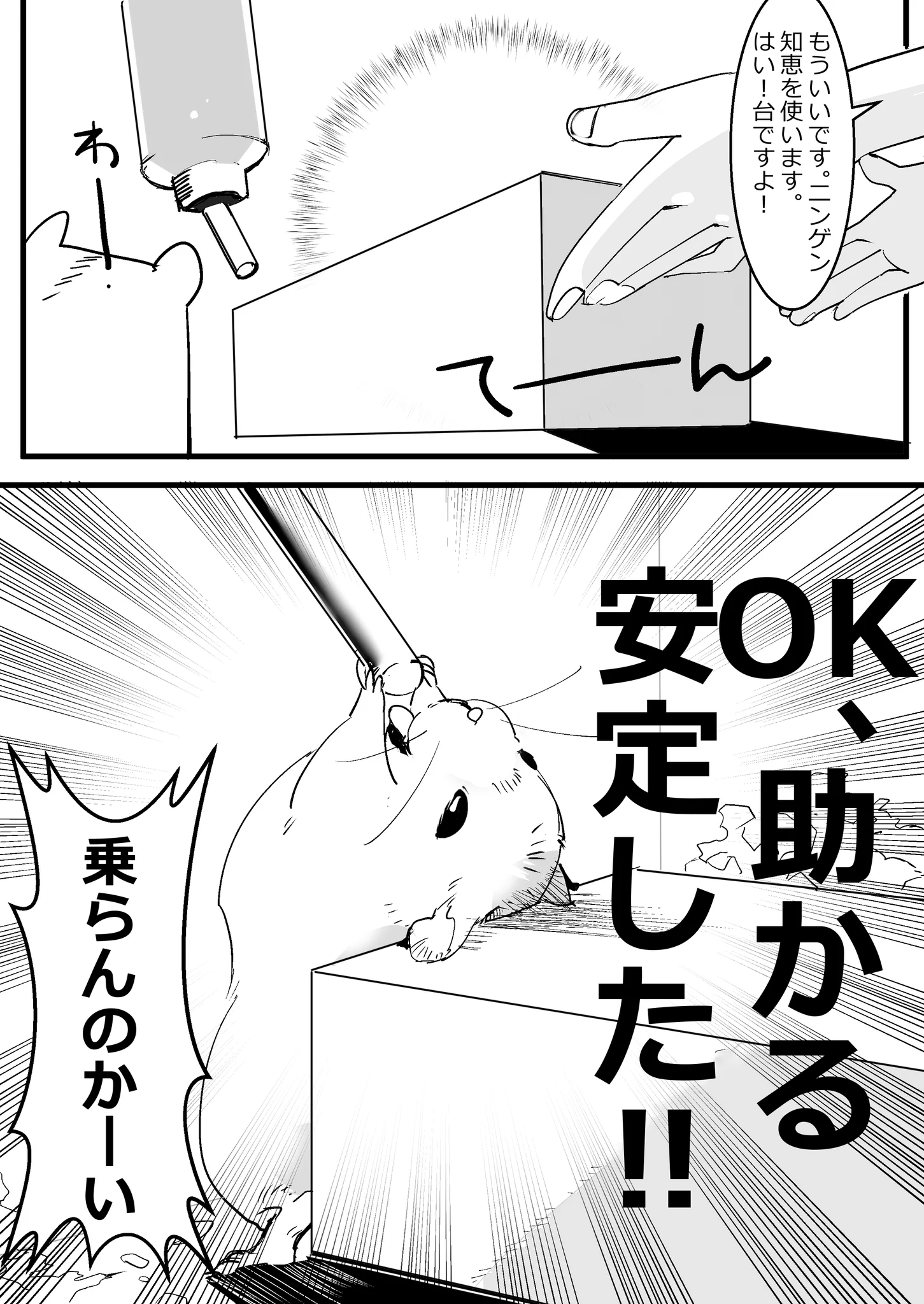 活用の仕方が予想の斜め上！給水器に届かず水を飲めないハムスターのために台を置いてあげた結果･･･！