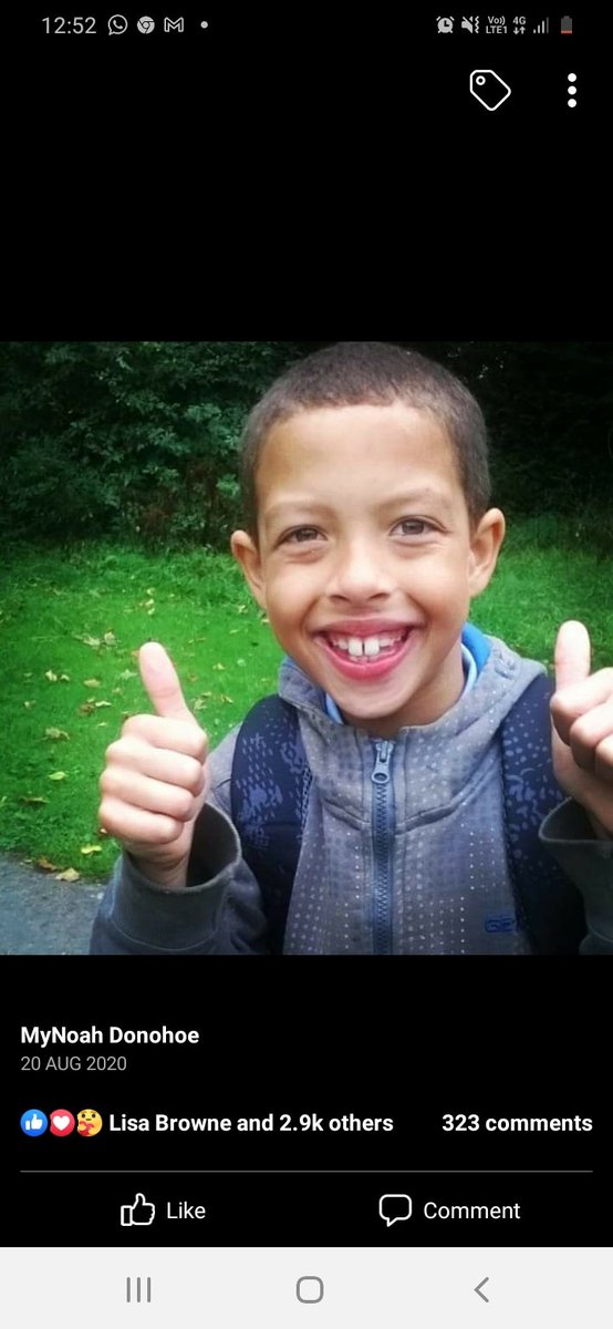 Please retweet For tomorrow's #twitterstorm at 6.11pm for #JusticeForNoahDonohoe

#TheNoahDonohoeFoundation
#Week66
#NoahsArmy

#NoahsVoiceWillNotBeSilenced
#JusticeForNoahDonohoe
#Trending