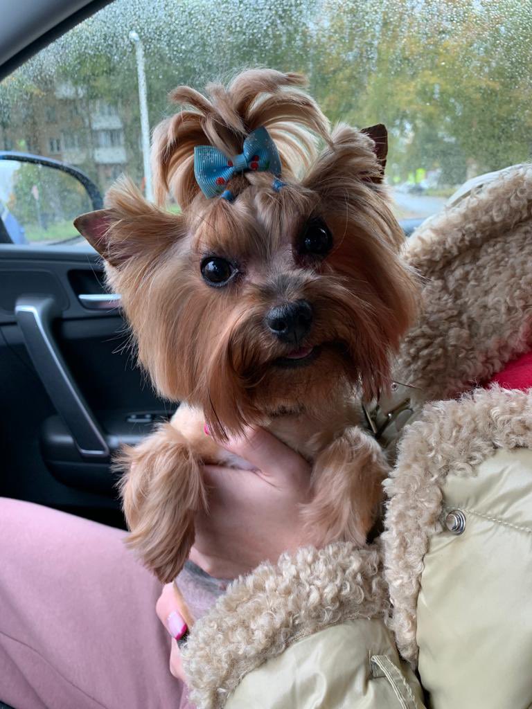 Красоту навели🥰