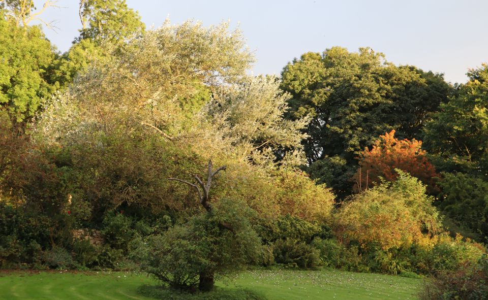 LSterneTrust's tweet image. Last few days for Shandy Hall gardens. Shandy Hall remains open by appointment #gardens #ShandyHall laurencesternetrust.org.uk/visit-us.php