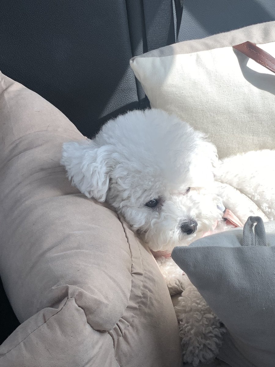 이제 차에 타도 느긋한 편