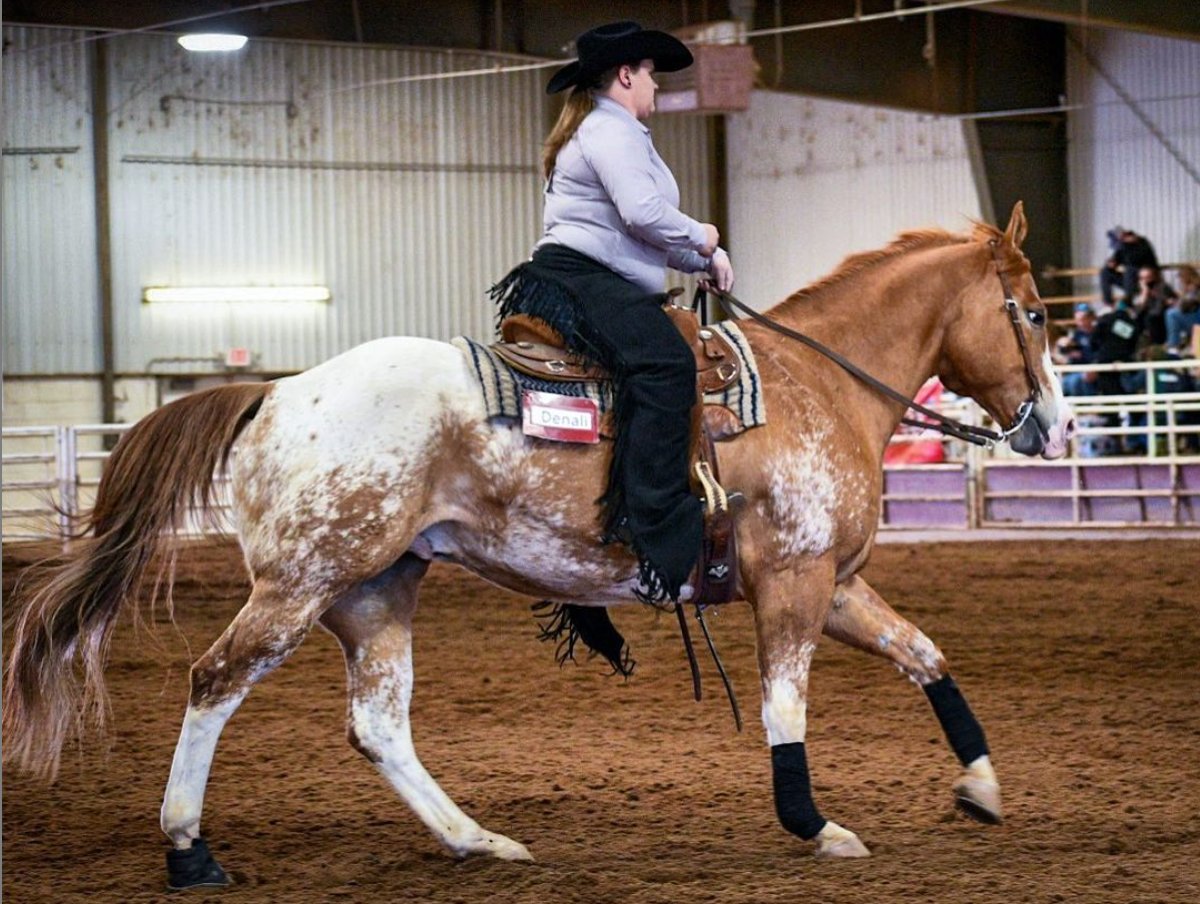 rideihsa's tweet photo. We can't wait to see how well you all do π π€
@wtamuequestrian
#Repost #RideIHSA #IHSAWestern #Western #WesternSaddle #CollegiateEquestrian https://t.co/WnOhS7spJs