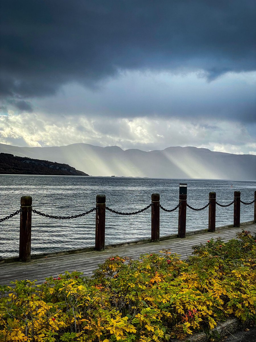 OliveAgent's tweet image. Ей така като стане - всеки път се спирам да погледам.