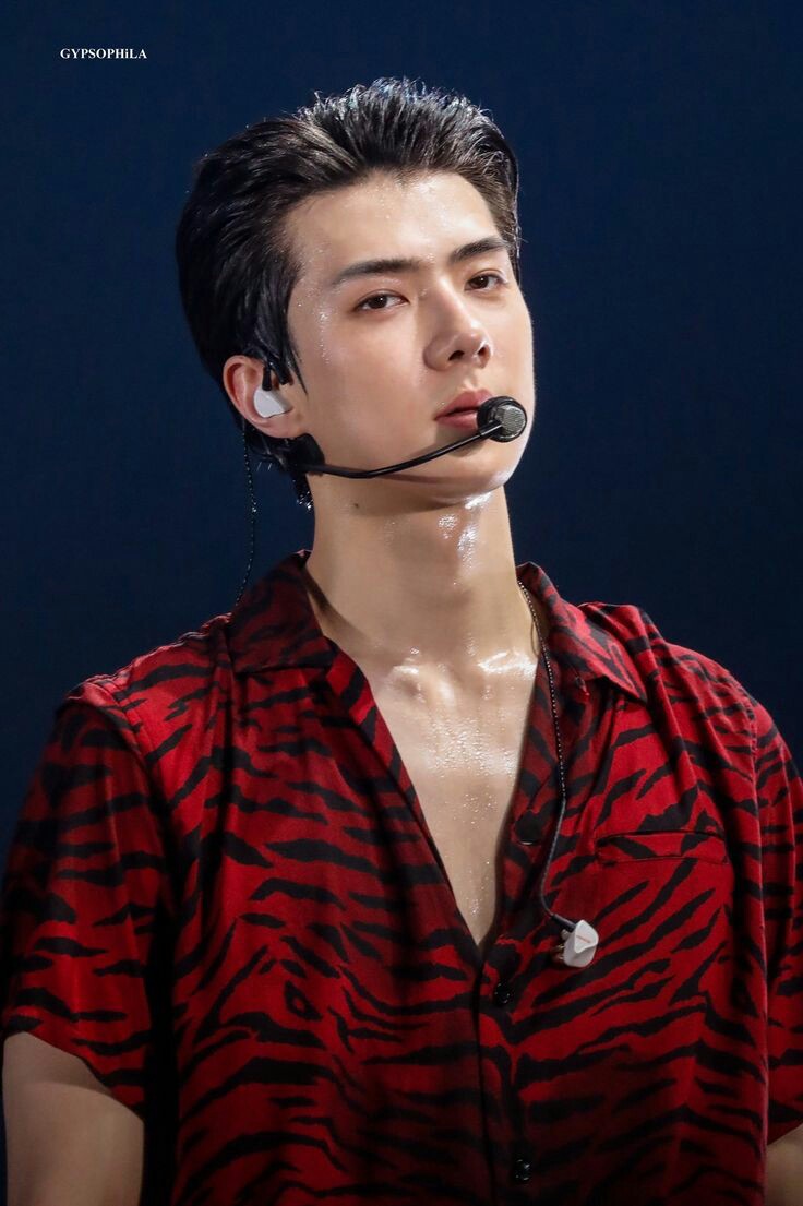 won_ooh's tweet photo. how sehun looks like in real life - concert edition [ a breathtaking thread ] https://t.co/0X28pUQX2O