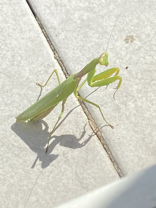 My killer guest!😉 https://t.co/j6eLpq8sQ3<a href="/tag/nails"class="tags"><span>#nails</span></a>
