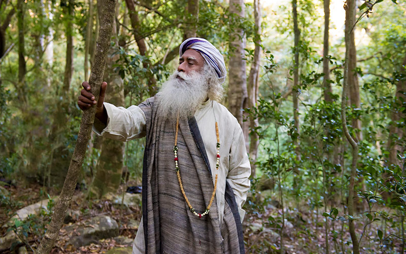 SadhguruJV's tweet photo. The further we move away from Nature, the further we move away from our own Nature too. #SadhguruQuotes https://t.co/D62fzl97sp