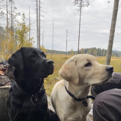 OchJuni's tweet photo. #NewProfilePic https://t.co/85AX3mZMdr