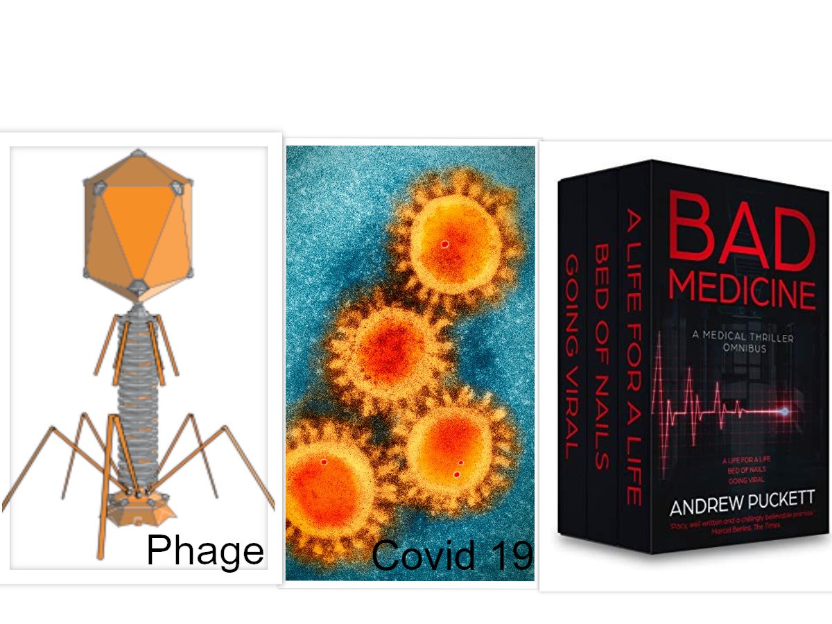 VIRUSES COME IN ALL SHAPES &amp; SIZES
Phage looks menacing
But is harmless
Covid looks like sunflowers ...
Enough said
Three books about viruses
And the people who fight them
UK:amazon.co.uk/Bad-Medicine-M…
US:amazon.com/Bad-Medicine-M…
CAN:amazon.ca/Bad-Medicine-M…
OZ:amazon.com.au/Bad-Medicine-M…