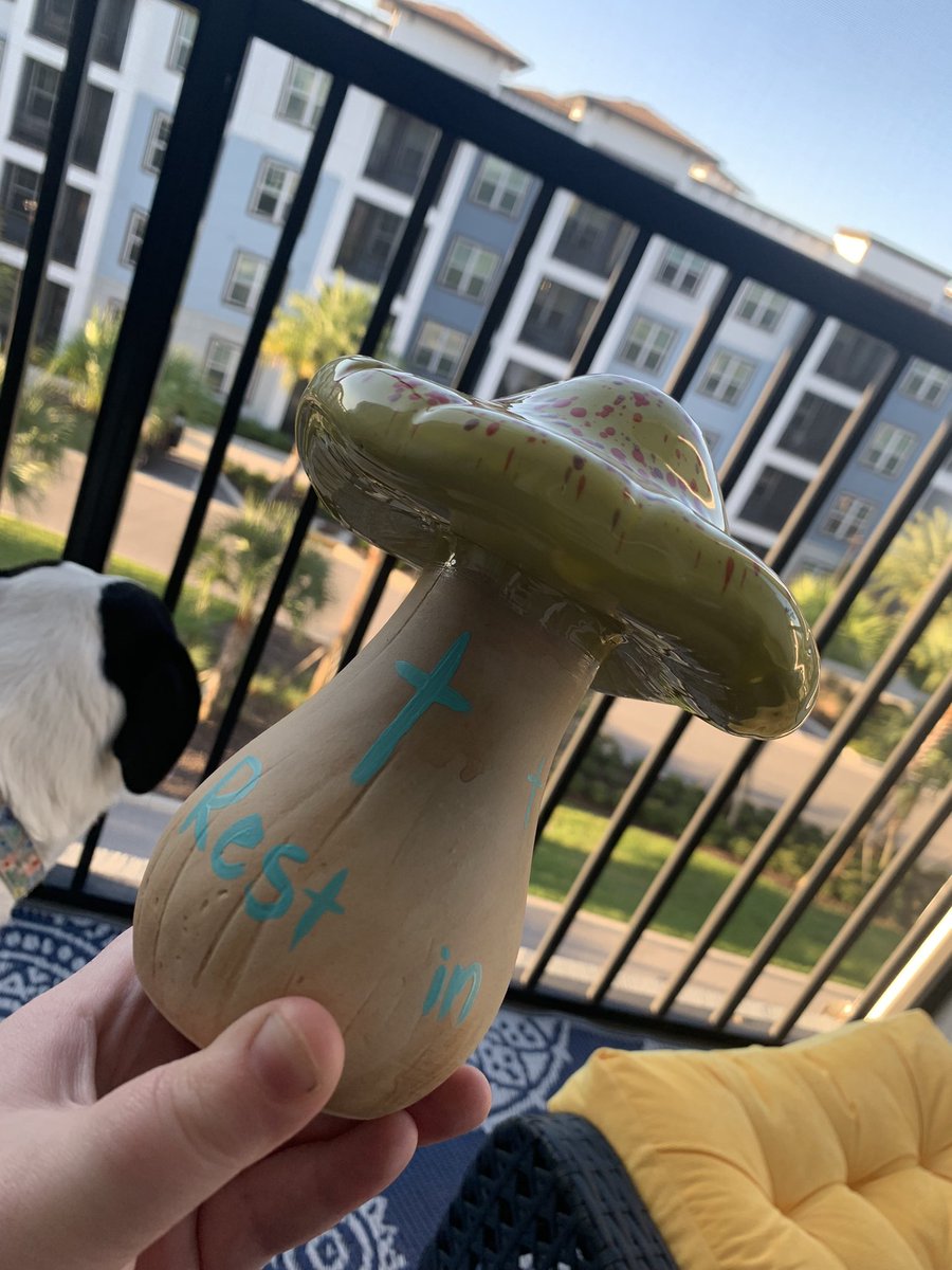allergic2banana's tweet photo. Getting ready to head down to North Port to leave this at the memorial for #GabbyPetito. Might drive by #BrianLaundrie’s house and the #CarltonReserve if the roads are open. #JusticeforGabby #RestInPeaceGabby https://t.co/srmlF9ba6n