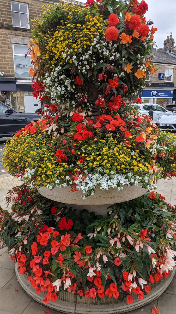 Has a floral town like #wetherby  with it beautiful annual flowers had its day. Should it have more sustainable perennials or stick to annual displays. I feel a topic for a podcast #floral #FlowerPower #flower