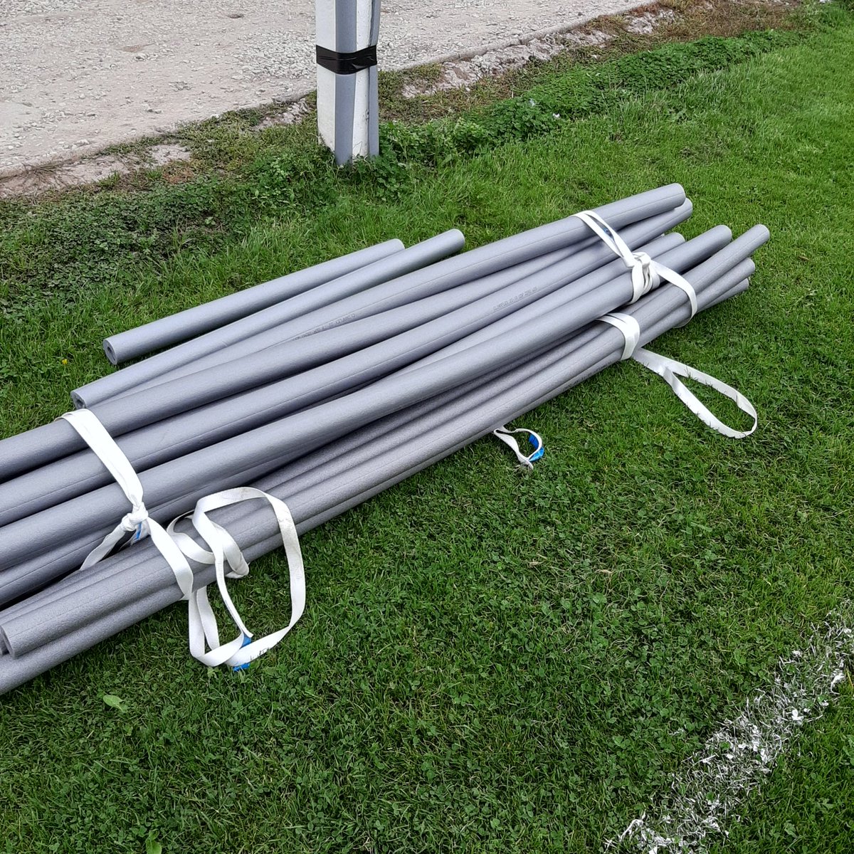 Mark Purvis tweet media