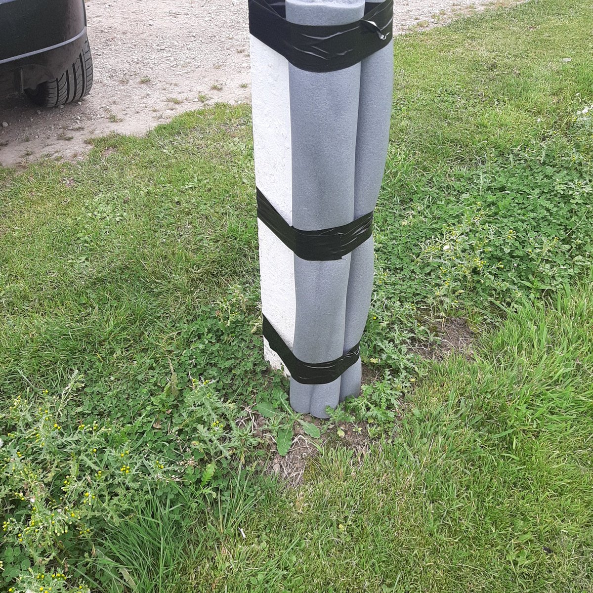 Mark Purvis tweet media