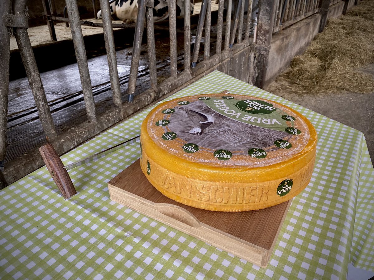 Op Schiermonnikoog nemen zeven melkveehouders het voortouw in een uniek biodiversiteitsproject om de stikstofuitstoot te verminderen. Minister Schouten sprak vandaag met hen over het project, dat in samenwerking met overheden en partners tot stand komt. #kringlooplandbouw