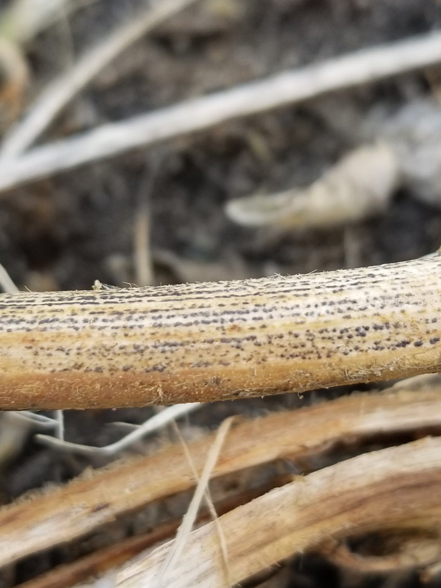 Bryan Cook tweet media