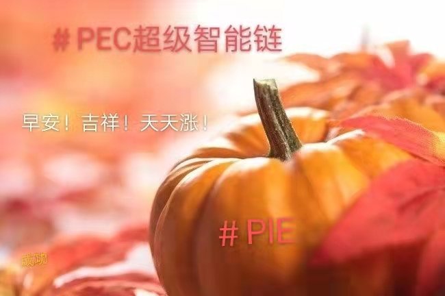 FUYE35422981's tweet photo. Congratulations, pumpkin pie went to the centralized exchange, has successfully entered the Phoenix chain platform, and Yang Fan set sail. The economic model selected by pumpkin pie has made friends who believe in pumpkin pie have the desired results.
#PEC https://t.co/ysABfauzzS