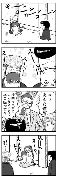 四コマ
「校則で猫が禁止されてる高校」 