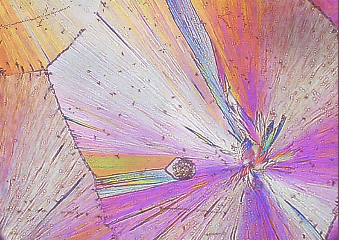 StrathImages's tweet photo. Ecaterina Bordos is working to improve tablet-form medications to deliver benefits to patients, manufacturers and the environment. Her colourful image shows the recrystallization process; find out more: https://t.co/kphOn7MGpg #StrathImages10 #PharmacistsDay @SIPBS_Strath https://t.co/YGFmKtdBBl