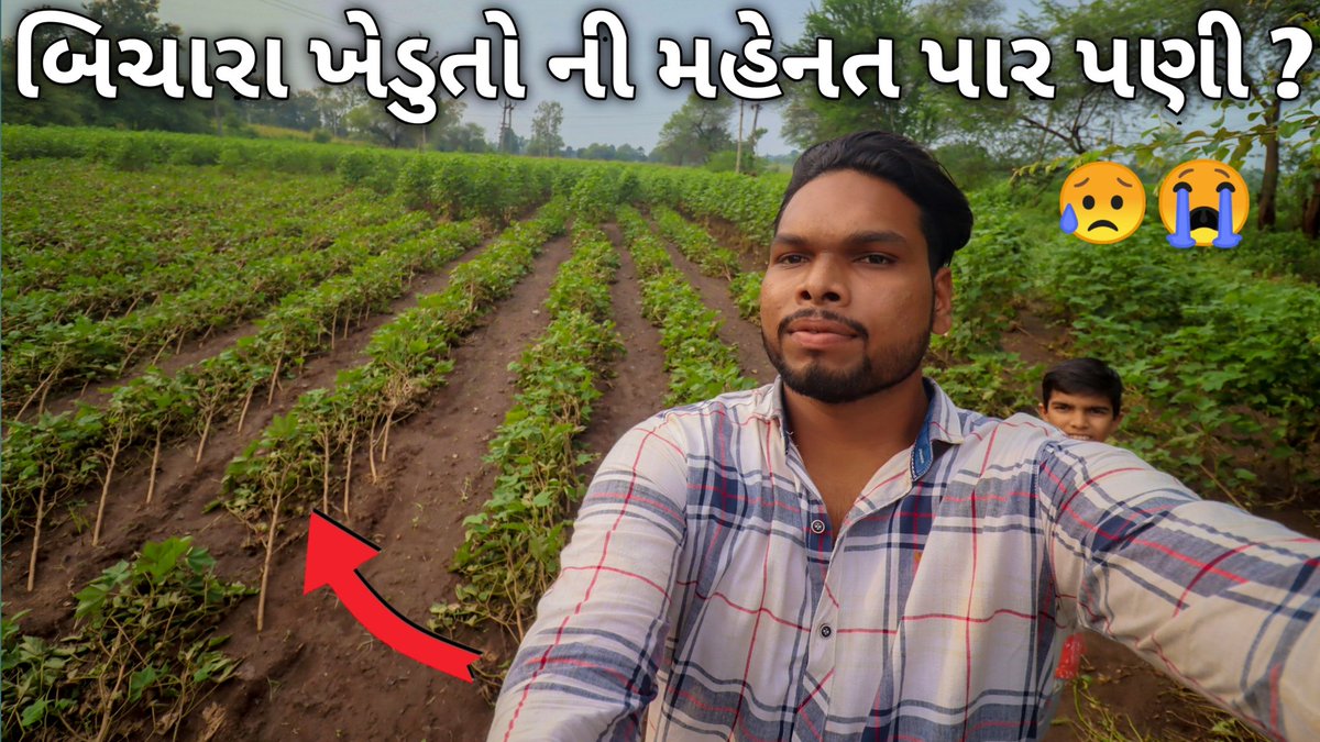Ghanu Rathwa (@rathwaghanu) on Twitter photo Full video link :-
youtu.be/CM0JBre8uVk
<a href="/RathwaGhanu/">Ghanu Rathwa</a> @KumudRathava <a href="/Aadivasi_Rathva/">Navnit बामणिया</a> <a href="/ValsingbhaiR/">Valsingbhai Rathwa Panibar</a> <a href="/Djrathva7/">Dhamu V Rathva</a> <a href="/RathwaHitesh2/">𝐇𝐈𝐓𝐄𝐒𝐇 𝐑𝐀𝐓𝐇𝐖𝐀</a> <a href="/RathavaTinabhai/">Tinabhai.N Rathava</a> <a href="/AlkeshRathva5/">Alkesh Rathva</a> <a href="/collectorcu/">Collector Chhotaudepur</a> <a href="/ArunARathva1/">Arun A Rathva</a> <a href="/YChhotaudepur/">Yuva ChhotaUdepur</a> <a href="/adivasiofficial/">आदिवासी Official | આદિવાસી Official | Tribal</a> <a href="/Royal_Adivasi/">Voice of Tribal</a> <a href="/adivasi_samuday/">आदिवासी समुदाय</a> Full video link :-
youtu.be/CM0JBre8uVk
<a href="/RathwaGhanu/">Ghanu Rathwa</a> @KumudRathava <a href="/Aadivasi_Rathva/">Navnit बामणिया</a> <a href="/ValsingbhaiR/">Valsingbhai Rathwa Panibar</a> <a href="/Djrathva7/">Dhamu V Rathva</a> <a href="/RathwaHitesh2/">𝐇𝐈𝐓𝐄𝐒𝐇 𝐑𝐀𝐓𝐇𝐖𝐀</a> <a href="/RathavaTinabhai/">Tinabhai.N Rathava</a> <a href="/AlkeshRathva5/">Alkesh Rathva</a> <a href="/collectorcu/">Collector Chhotaudepur</a> <a href="/ArunARathva1/">Arun A Rathva</a> <a href="/YChhotaudepur/">Yuva ChhotaUdepur</a> <a href="/adivasiofficial/">आदिवासी Official | આદિવાસી Official | Tribal</a> <a href="/Royal_Adivasi/">Voice of Tribal</a> <a href="/adivasi_samuday/">आदिवासी समुदाय</a>