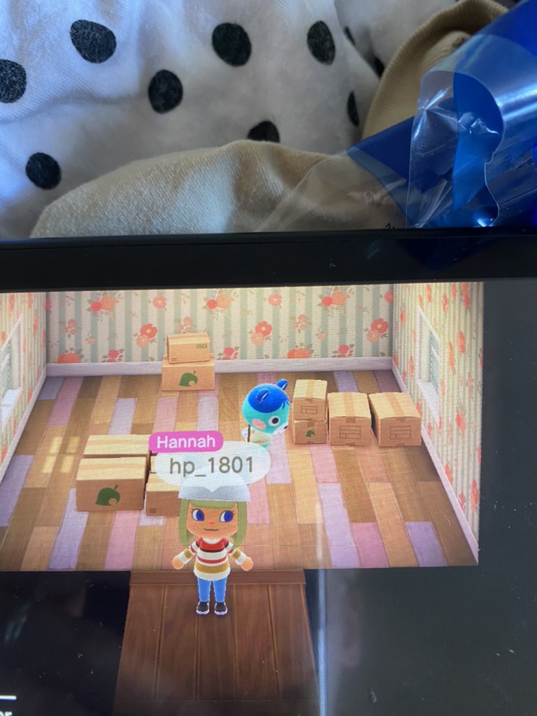 serenitty__'s tweet photo. FT: bluebear in boxes. LF: bells/nmt @CrossingTrades @giodipii #acnh #AnimalCrossingNewHorizons #villagersinboxes #acnhvillagertrade #acnhvillagerinboxes https://t.co/PXVryWzpEP