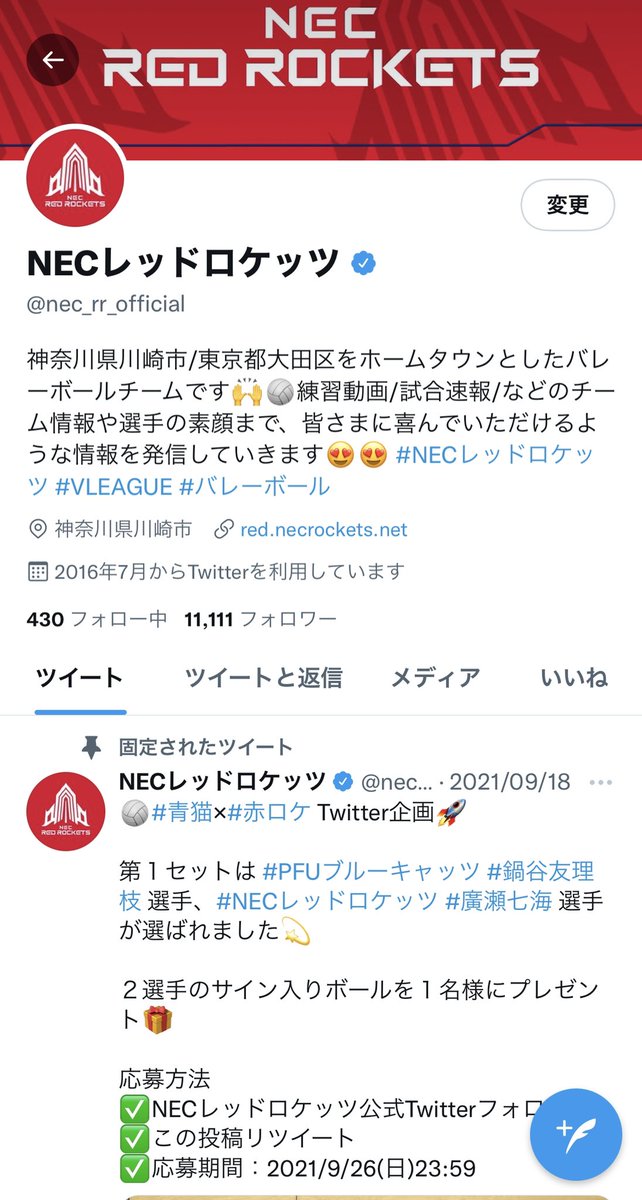 NECレッドロケッツ　サインボール NECレッドロケッツ NO.5 山田 二千華選手のサインボール - メルカリ