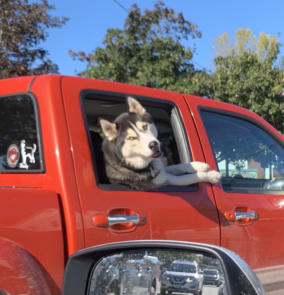 Beth Rusnock tweet media