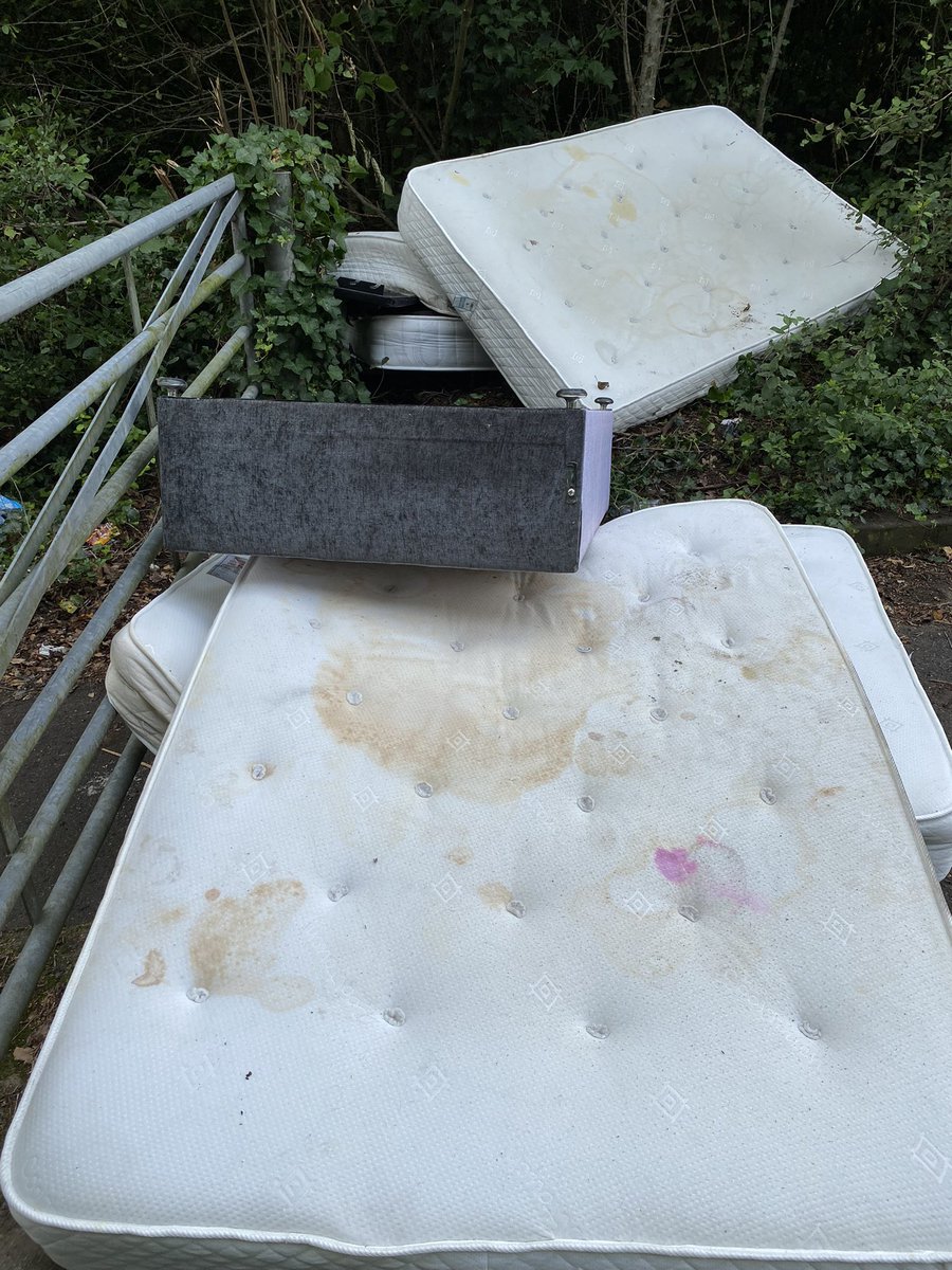 Olly harrison 🥛🍔🌱AccidentalYoutuber tweet media