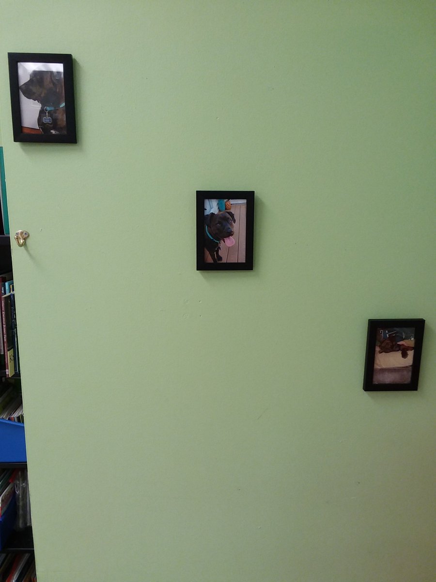 nortonteachpa's tweet photo. When your classroom theme is your dog https://t.co/2LeaElO6Wy