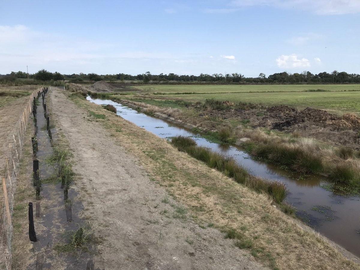 brunolmg's tweet photo. Marais de Parempuyre-Olives : inauguration de ➕ de 8️⃣0️⃣ha de zone humide 🌿💦exemplaire du Parc naturel des Jalles! avec B De Francois, maire de Parempuyre, @CBost VP @CD33 et #BM M.Papadato, VP @BM et @BenoitSimian. L'agence @Adour_Garonne finance! 👍 #ZH #adaptationCC https://t.co/xgk4n93ZX3