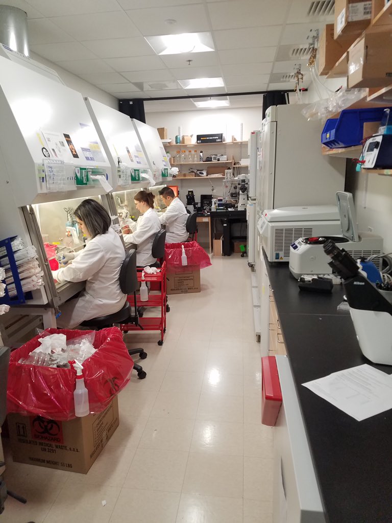 ToxoTyler's tweet photo. Finally, in this work we generated a 1160 clone array, which would not have been possible without a team effort. I am grateful to be in a lab where others are so willing to help achieve crazy ideas. Here’s some pics of us rearraying >50 plates of subclones over two mornings (4/4) https://t.co/YAfIZvRWcV