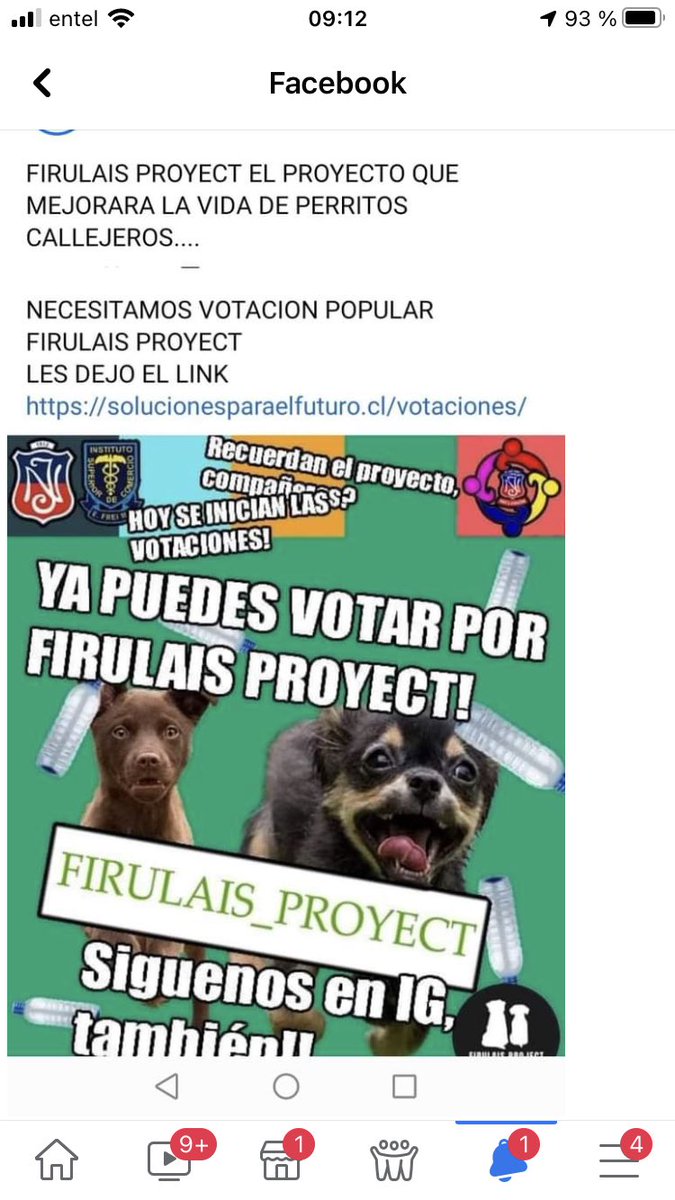 INacional2015's tweet photo. Nuestros estudiantes en conjunto con los del Insuco están esperando tu voto de apoyo.. Proyecto Firulais!! Queda muy poco tiempo!! Apóyalos con tu voto!! https://t.co/qGLJwbekj4