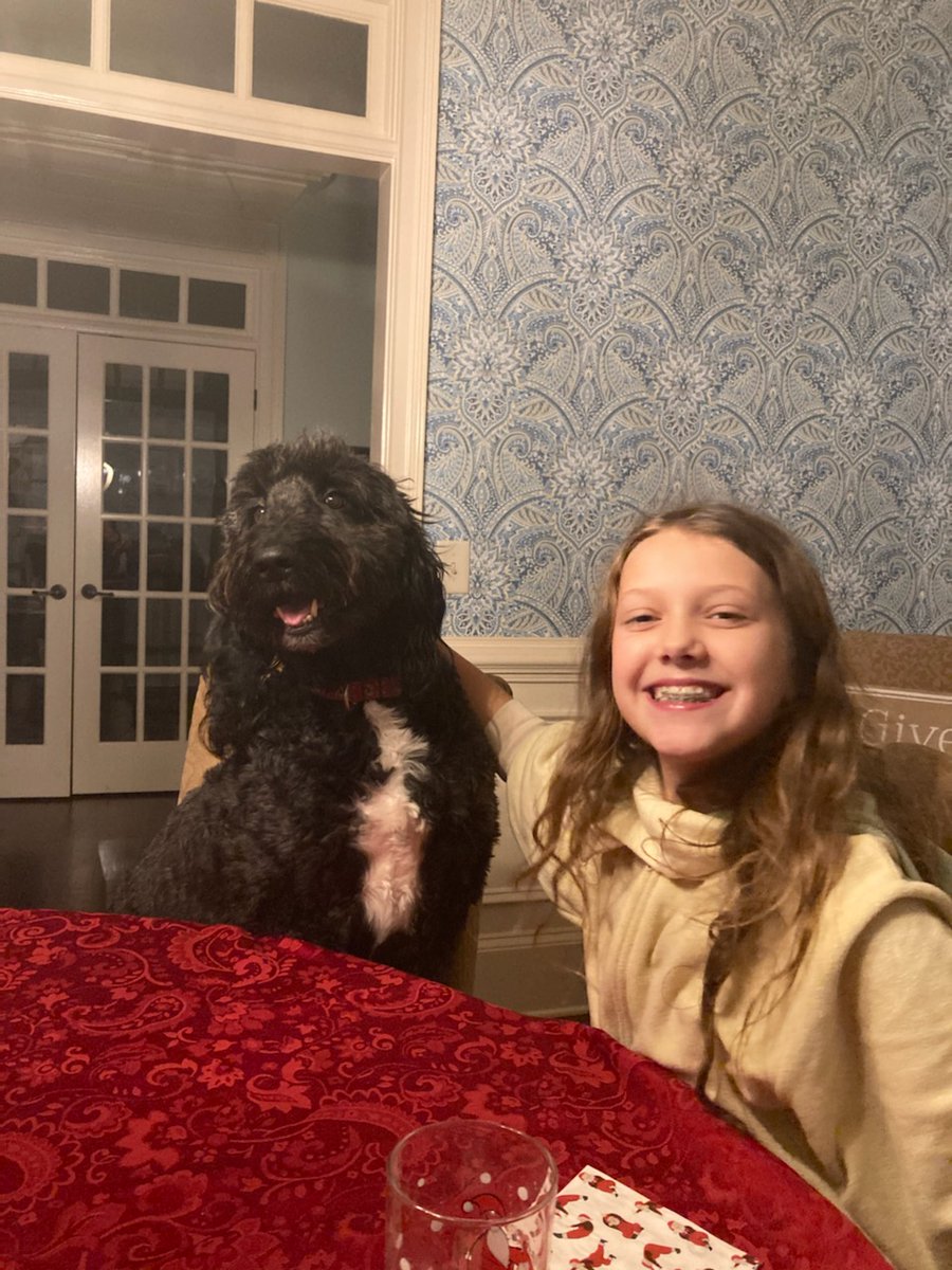 Happy 7th birthday to a dog that brings much joy to, while at the same time shaving years off, my life.  ❤ you, Rocky  <a href="/ayersjanet/">Janet Ayers</a> <a href="/petco/">Petco</a> "trained" #naughty