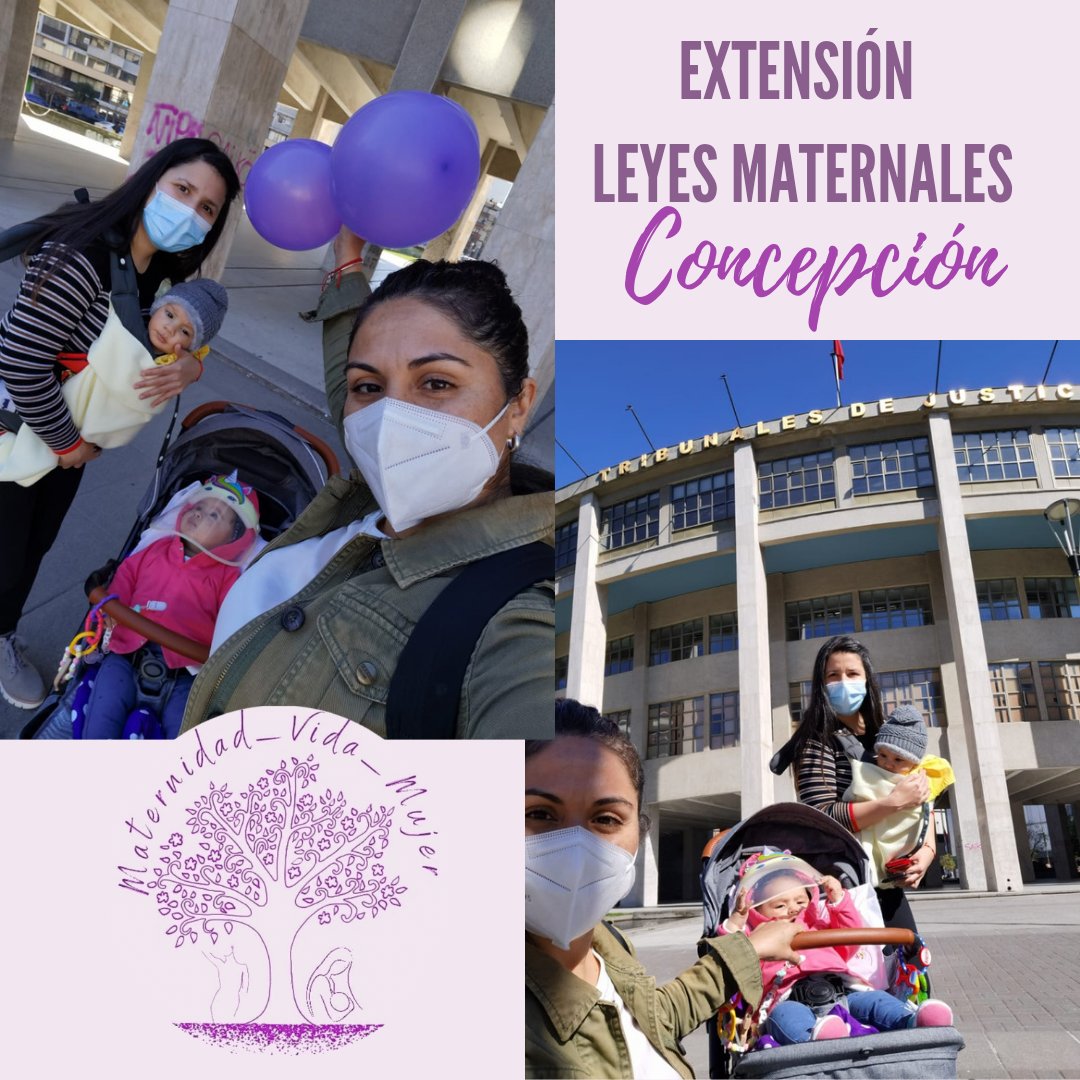 MaterVidaMujer's tweet photo. @rodrigosepu #ALERTA @meganoticiascl Ayer desde #Santiago #Antofagasta #Concepción Madres se reunieron a pedir por la #ExtensiónLeyesMaternales entregamos una carta en la moneda, esperando que @sebastianpinera nos escuche! Realmente lo necesitamos 
La pandemia aun no termina ! https://t.co/xSKEPm0EUO