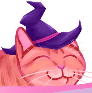 cat wizard