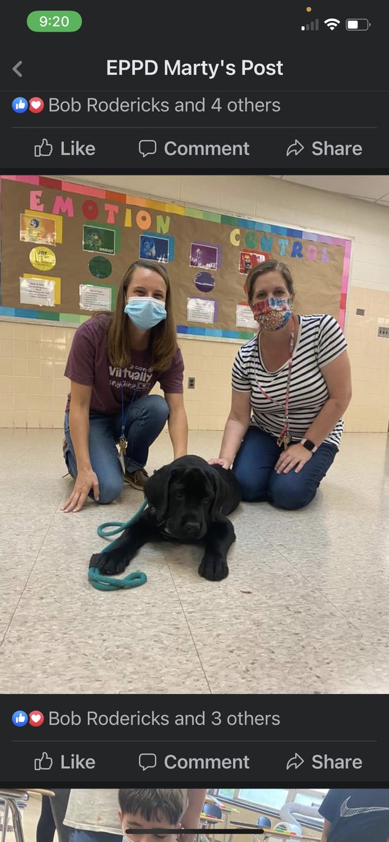 Kimberly Maratto tweet media