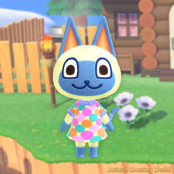Animal Crossing World 🐦☕ on Twitter: Animal Crossing World 🐦☕ on Twitter: