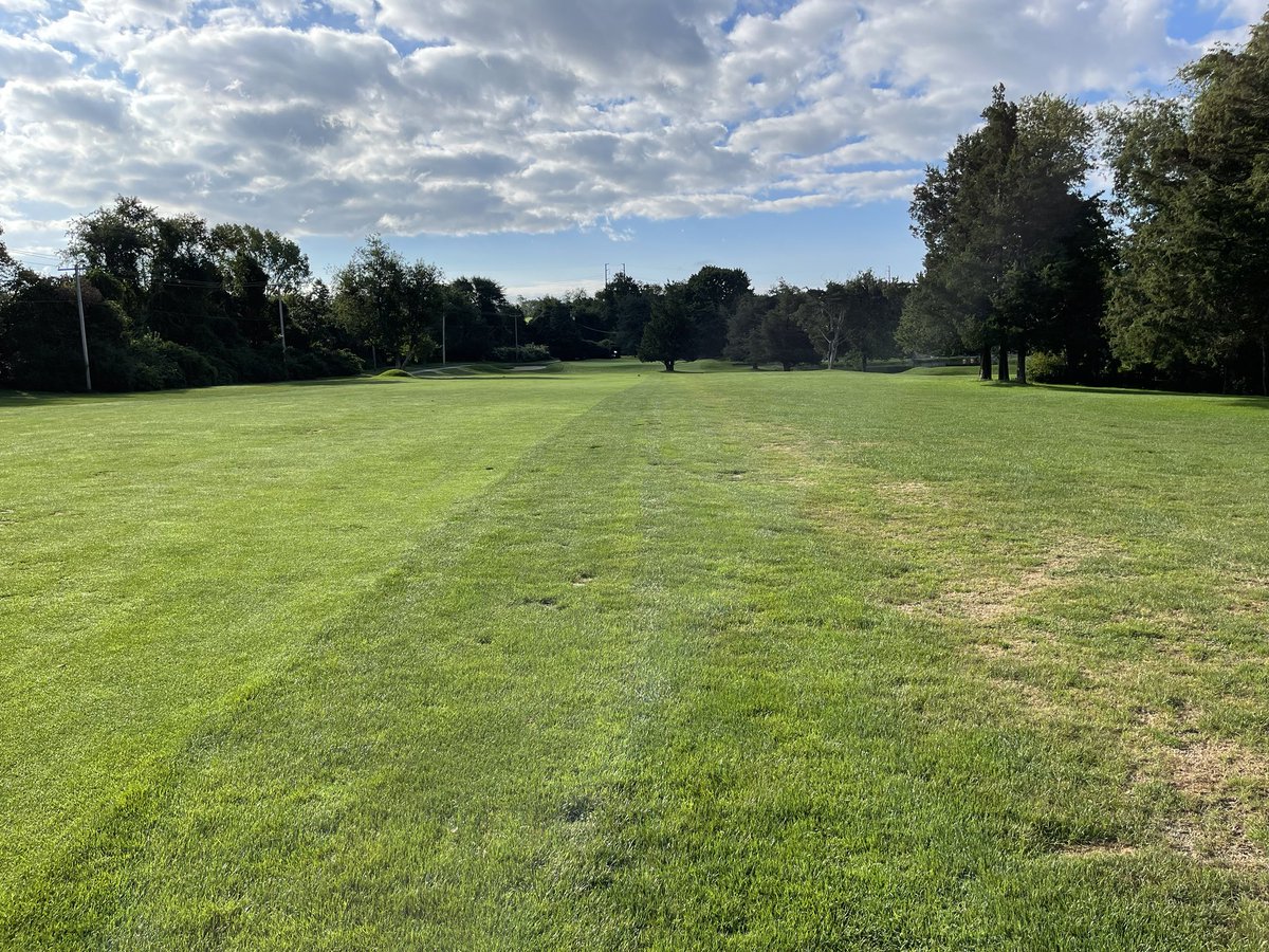 Bayer Densicor stopping Grey Leaf Spot dead in its tracks. Joe ringed his fairways and step cut with Densicor at Green Valley. Look at that line ⁦<a href="/BayerGolf/">BayerGolf</a>⁩