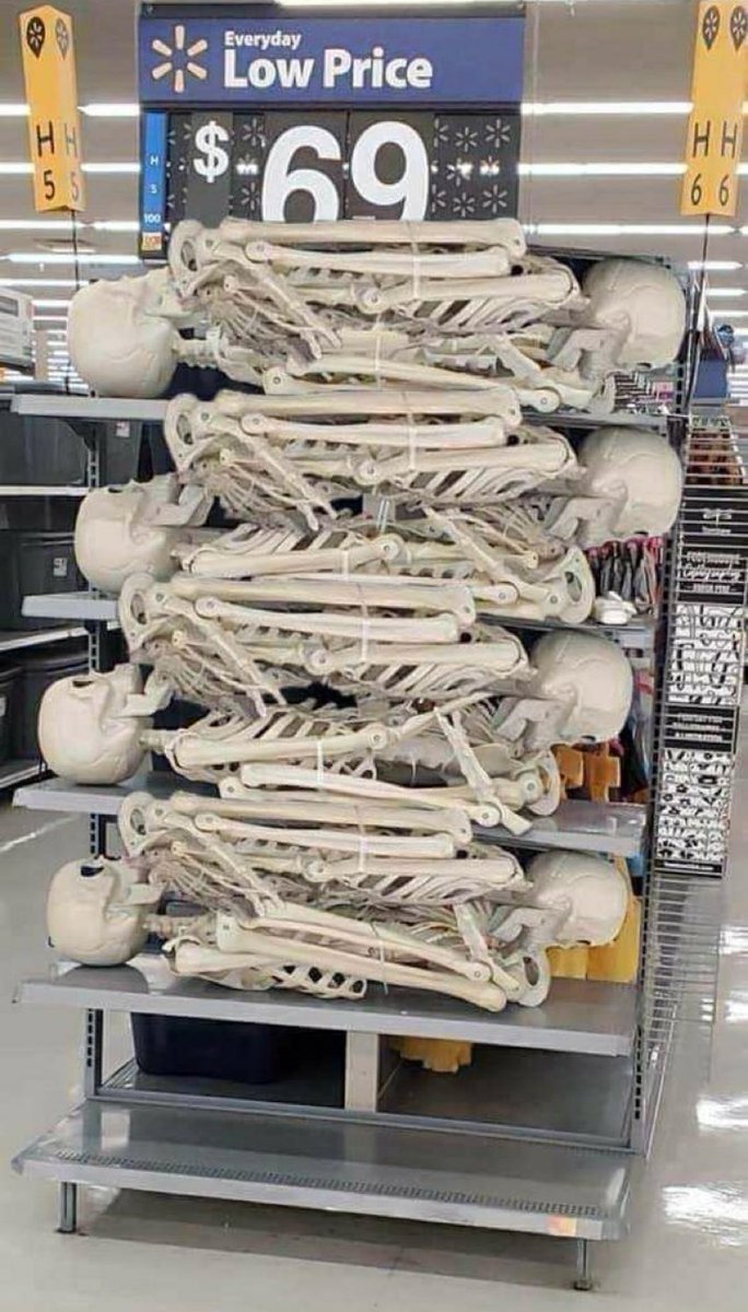 OdedRechavi's tweet photo. “For 15 years I had 8 post docs trying to clone the gene and only the 9th succeeded!” https://t.co/9tNV9UDkTi