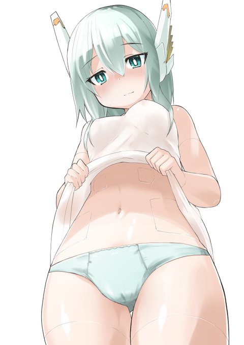 ロボ娘買ったらやりたいこと 