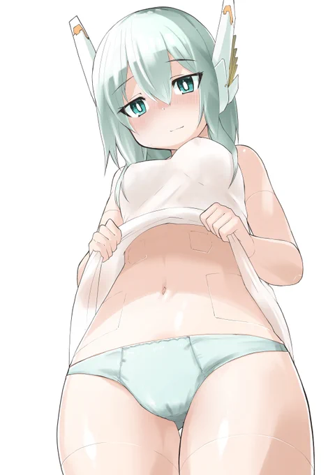 ロボ娘買ったらやりたいこと 
