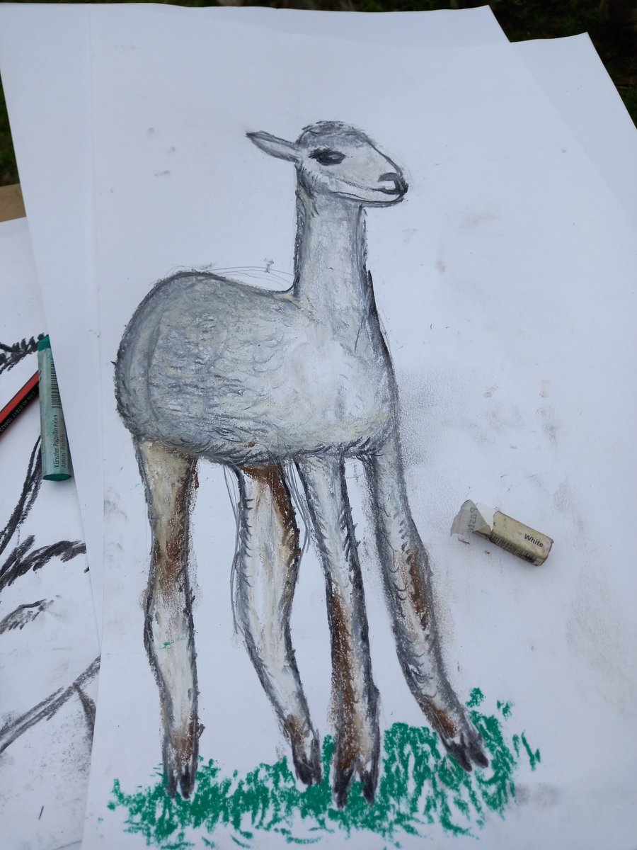 Elizabeth Rigby-Scott (@rigbyscott71) on Twitter photo Me keeping it all under control <a href="/VauxhallFarm/">Vauxhall City Farm</a> with Tom, Ben & Jerry! Had a wonderful time <a href="/WildDrawing/">Wild Life Drawing</a> session today, lovely group. TY Jenny and Vauxhall team! #alpaca #drawing Me keeping it all under control <a href="/VauxhallFarm/">Vauxhall City Farm</a> with Tom, Ben & Jerry! Had a wonderful time <a href="/WildDrawing/">Wild Life Drawing</a> session today, lovely group. TY Jenny and Vauxhall team! #alpaca #drawing