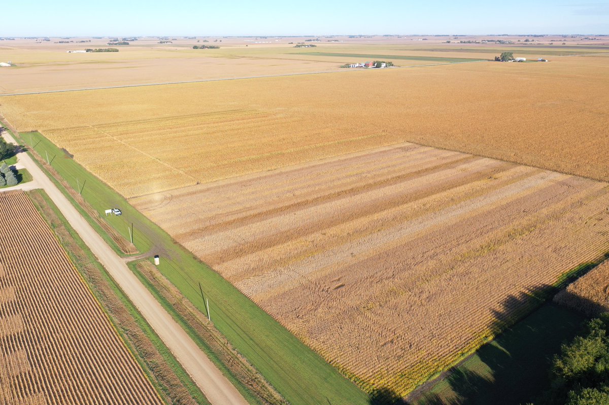 MHommez's tweet photo. Fall is the best time of the year! We are planning to harvest the #Soybean plot next week. #AlgonaLearningCenterPlot @CroplanI @Asgrow_DEKALB @DKAS_Iowa @StineSeed @NEWCooperative ππ½ https://t.co/abE5Q5j9LH