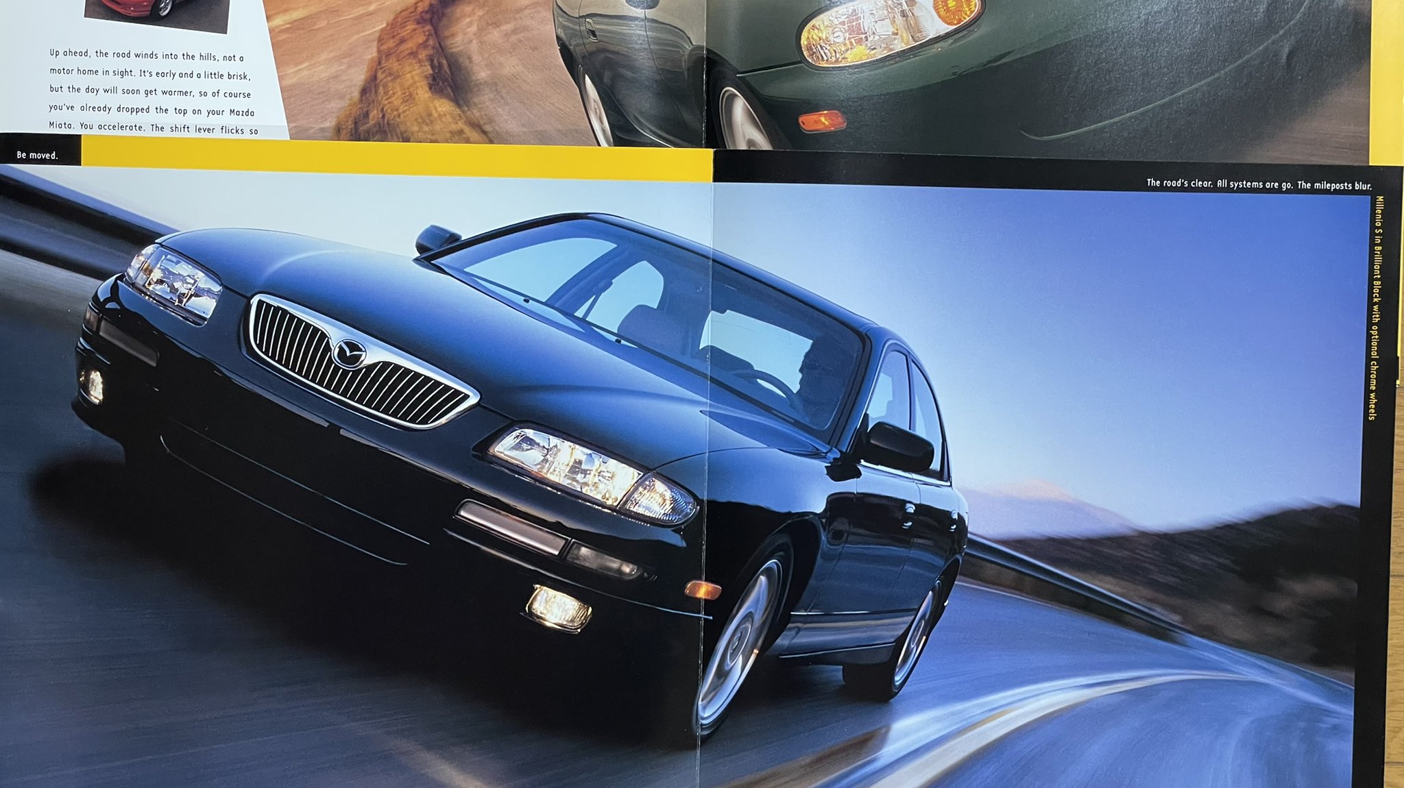 マダツボミ → ラフレシア（FR/1999） 1988bmw520i on X: 