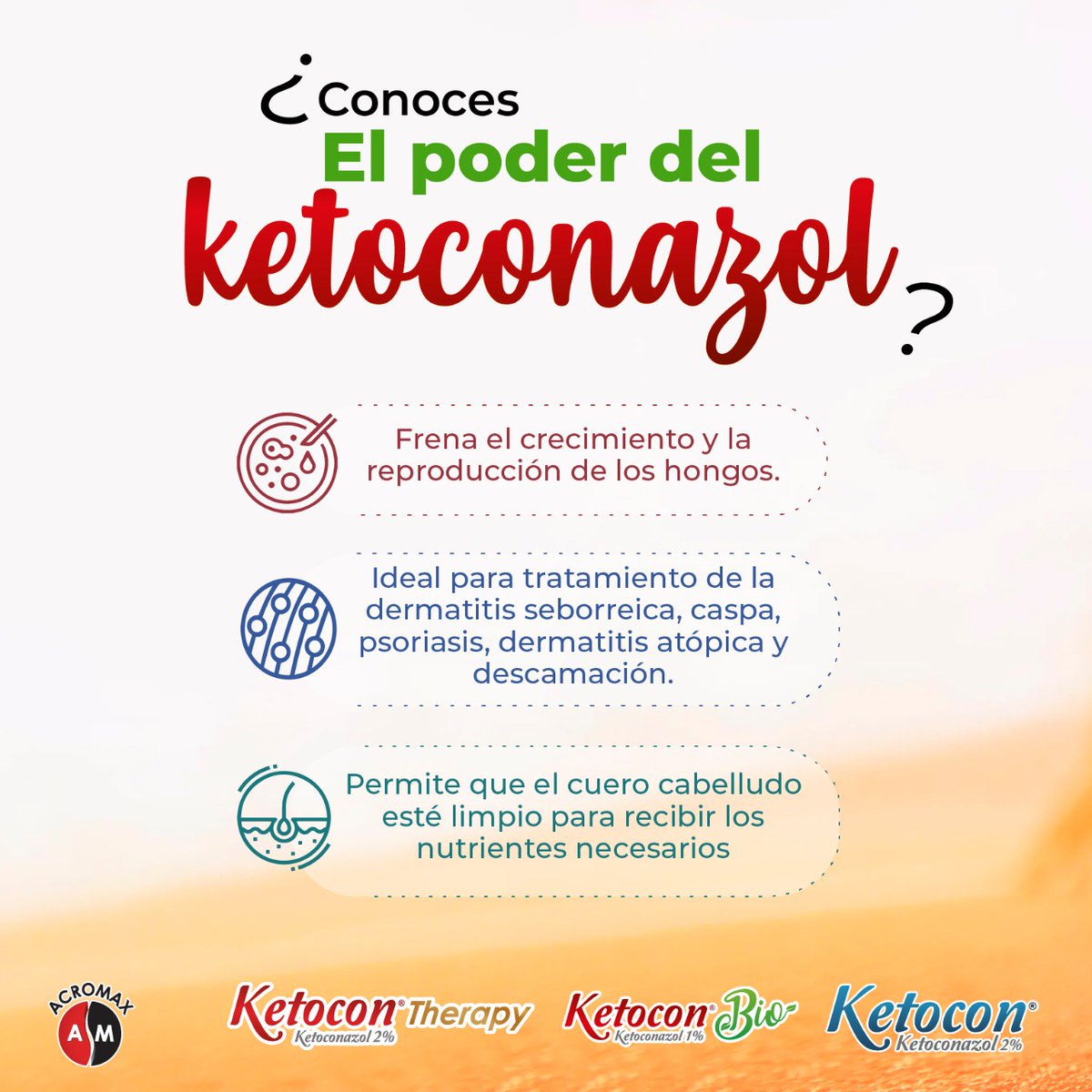 AcromaxEcuador's tweet photo. ¡ El poder del Ketoconazol!
FASE 1💧#KetoconTherapy shampoo, con Ketoconazol al 2%, concentración ideal para tratar las afecciones de la dermatitis seborreica en cuero cabelludo.
FASE 2💧#KetoconBio con ketoconazol al 1% para el mantenimiento y control posterior al tratamiento https://t.co/WYaFvXze1T