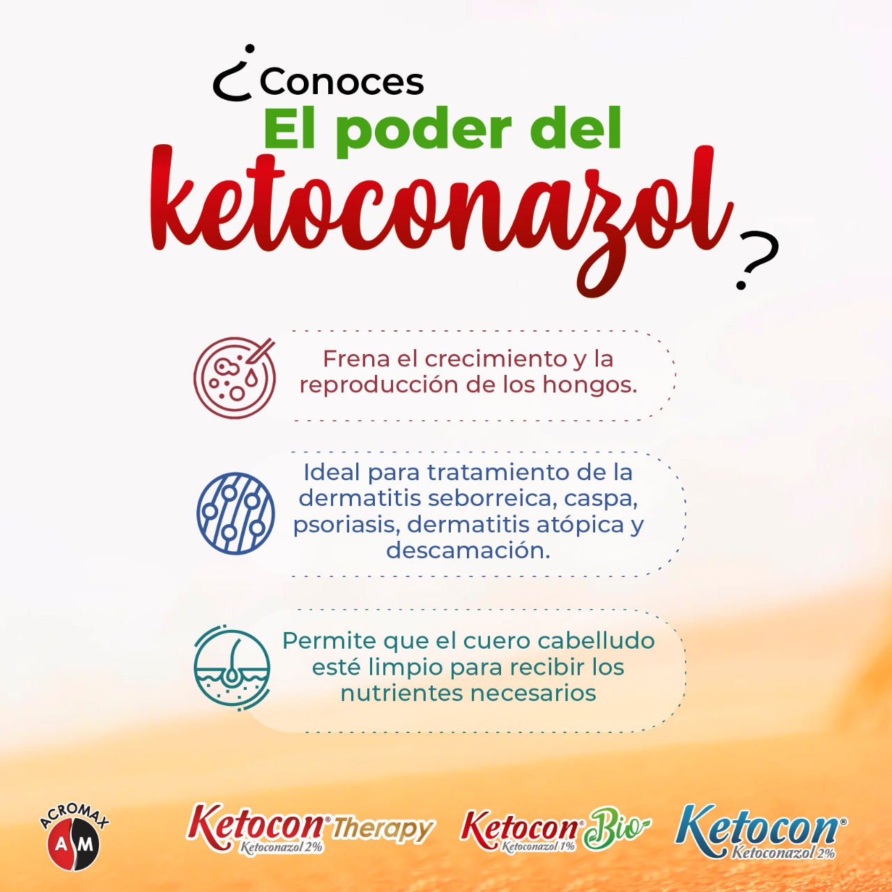 Civilizar Camino Resaltar Twitter 上的 Acromax："¡ El poder del Ketoconazol! FASE 1💧#KetoconTherapy  shampoo, con Ketoconazol al 2%, concentración ideal para tratar las  afecciones de la dermatitis seborreica en cuero cabelludo. FASE  2💧#KetoconBio con ketoconazol al