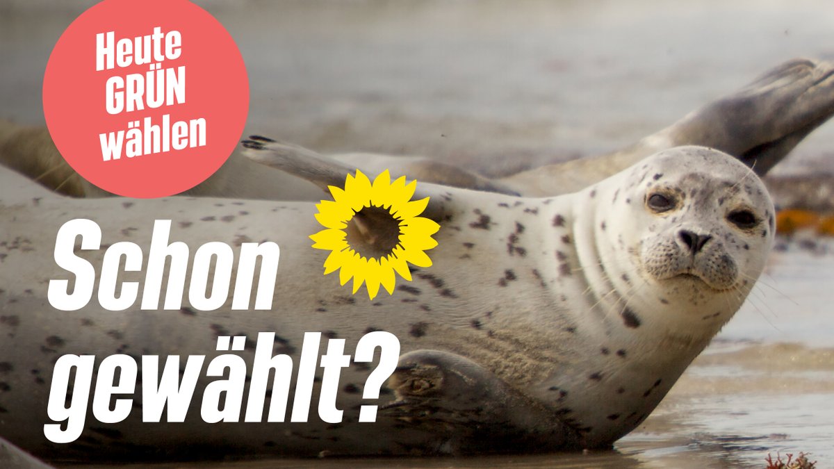 🥁 Kurzer Reminder: Heute ist Bundestagswahl #btw21. Hast du schon gewählt? Falls nein: Die Wahllokale haben noch bis 18 Uhr geöffnet. Kleine Entscheidungshilfe: Du willst eine Klimaregierung, die das Klima rettet und die Menschen schützt? Dann wähl GRÜN!