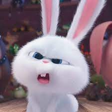 dahyunated's tweet photo. #NAYEON as snowball 🐰 https://t.co/A7tP4zPWiE