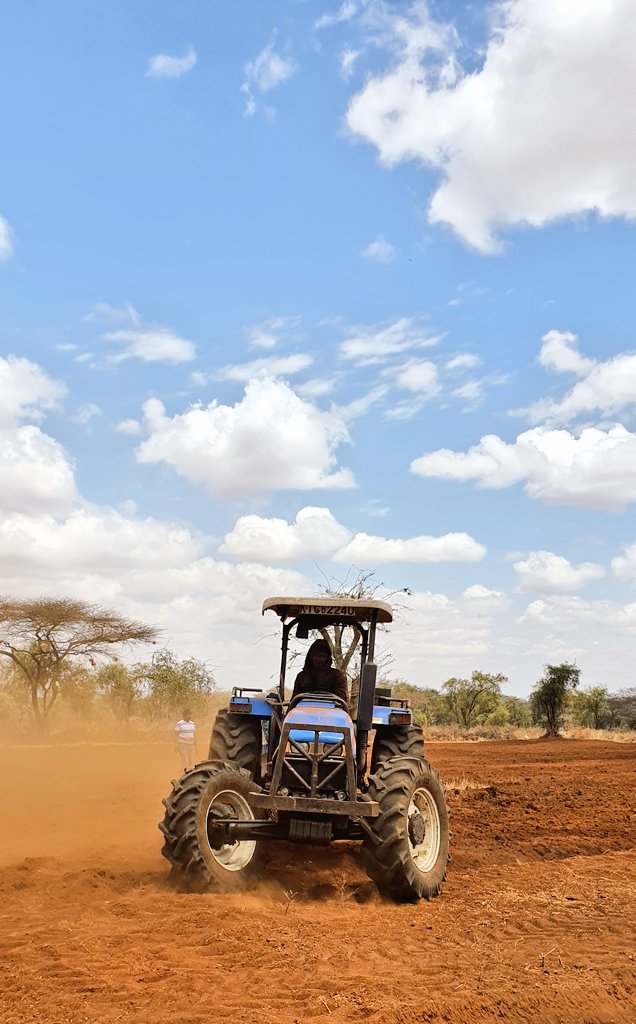 MailuaFarm's tweet photo. Our machine operator was completely veiled, reminds us of Kim kardashian's look at the #MetGala2021 π #FarmGlam https://t.co/QhVkui4ddK