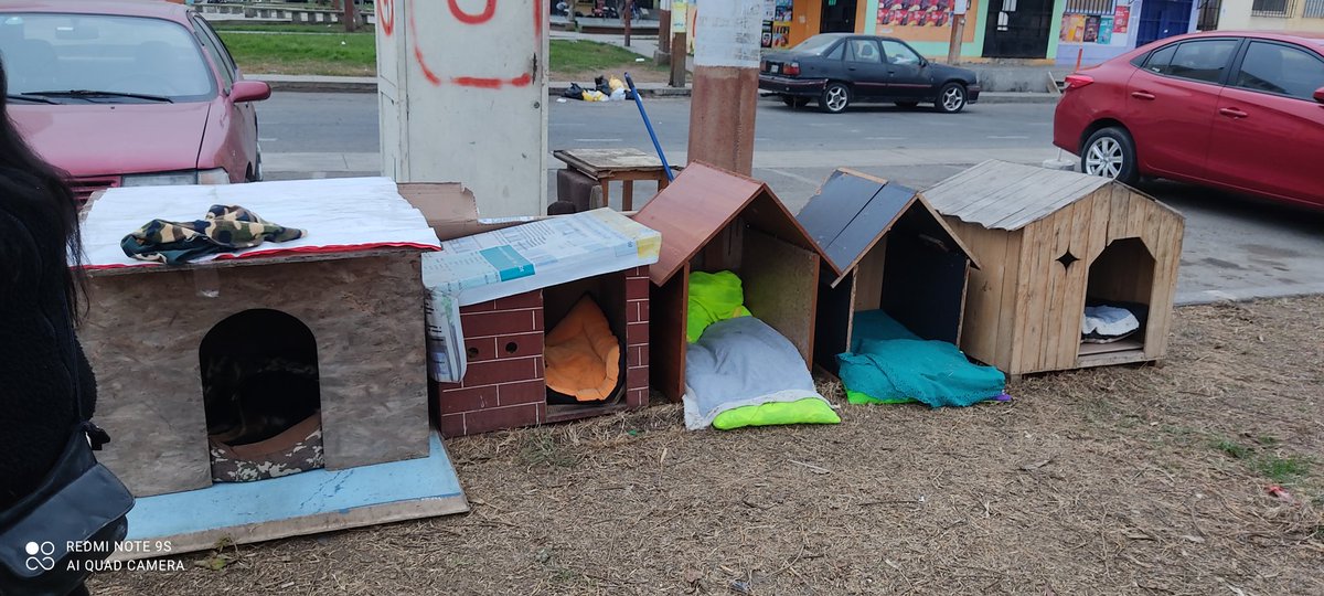 mayrazeg22's tweet photo. Ellos viven la calle, tratamos de velar por ellos en lo q está en nuestro alcance.Les urge sus vacunas.Por fv si puedes apadrinar,en la vet nos está dejando a S/50 la sextuple. Pusimos estas casitas para ellos y no pasen frío. Por ayuda con un rt @patasxpatas @Paola310 @anajarav https://t.co/AQZtwDmr2v