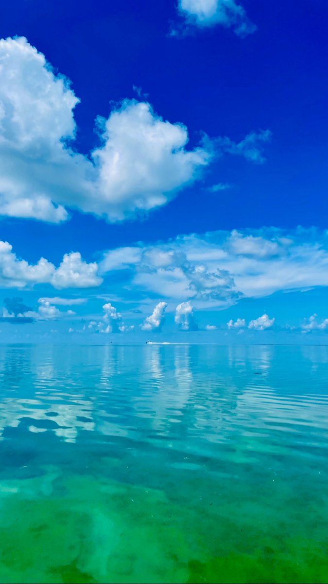 Getting our float on ⚓️