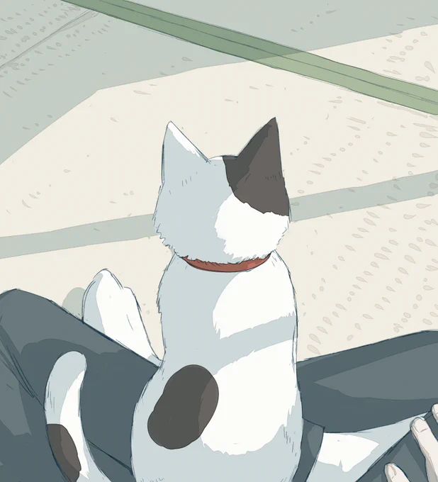 愛しい背中 